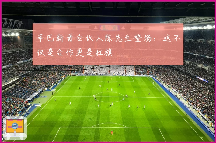 辛巴新晋合伙人陈先生登场，这不仅是合作更是扛旗